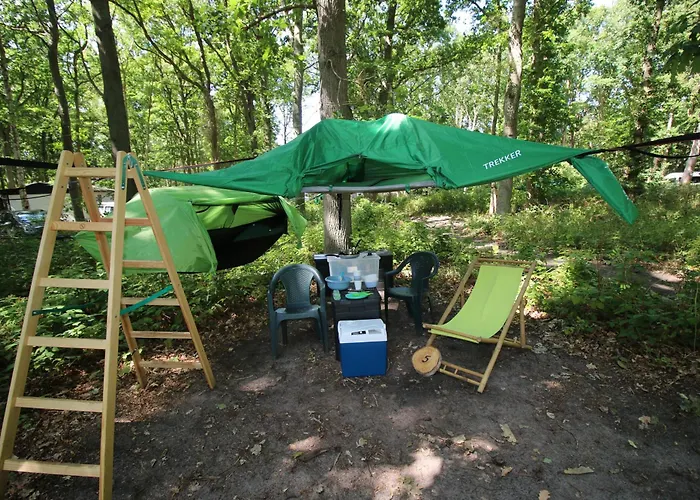 Baumzeltdorf Ostseebreeze Direkt Am Strand