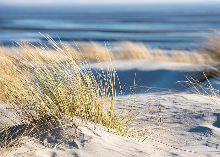Baumzeltdorf Ostseebreeze Direkt Am Strand
