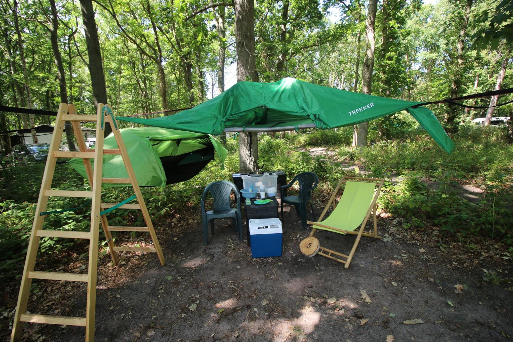 Campingplatz Baumzeltdorf Ostseebreeze Direkt Am